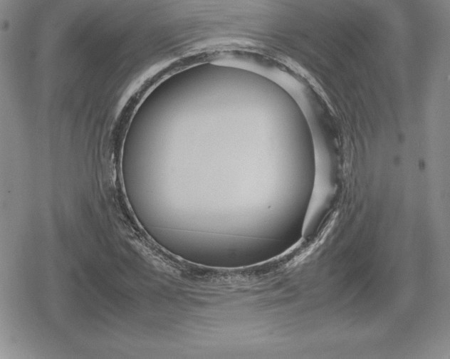 X0000080170973200612221247