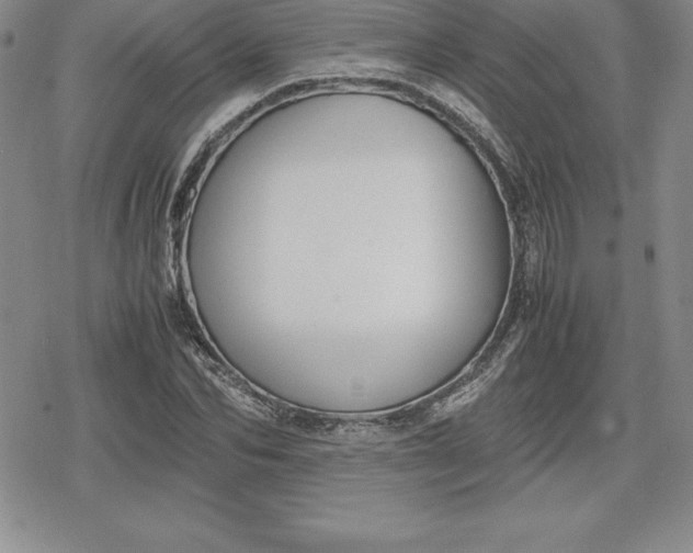 X0000080170974200612221246