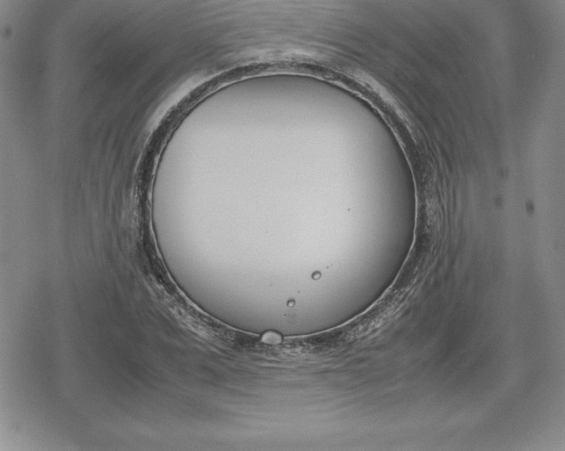 X0000080170975200612221246