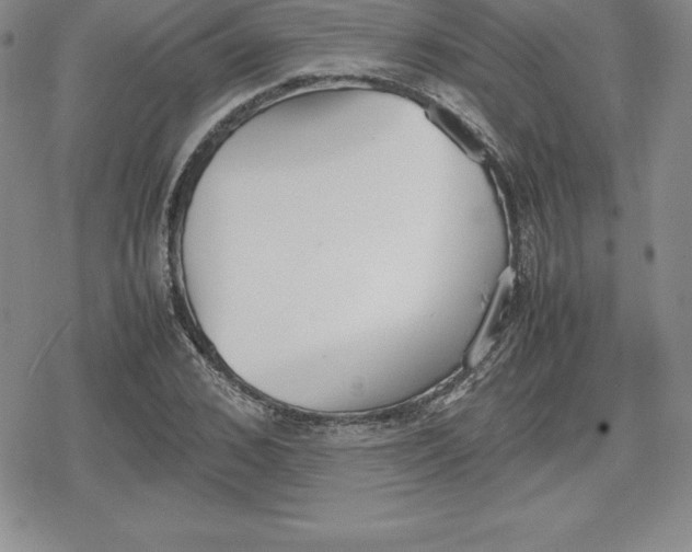 X0000080170976200612221246