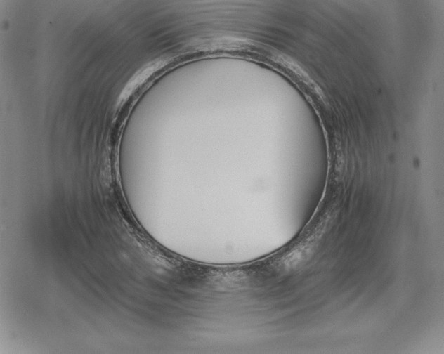 X0000080170978200612221246