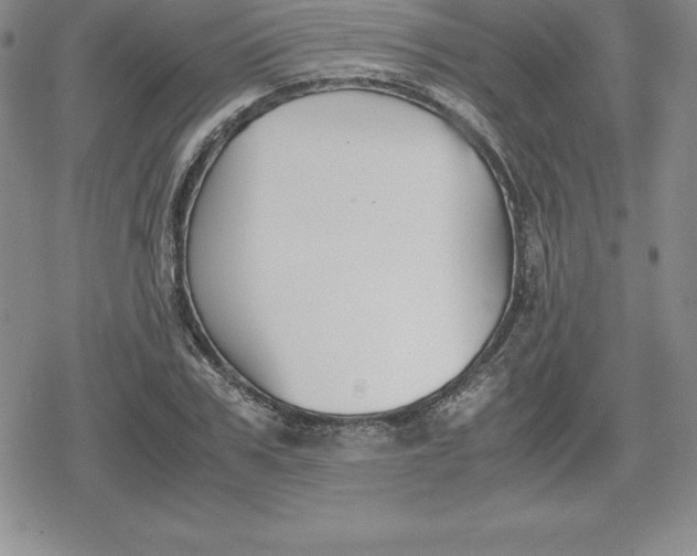 X0000080170979200612221246