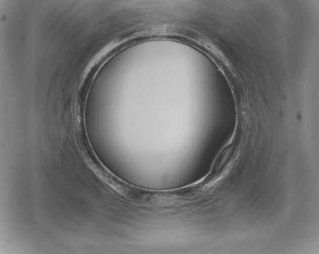 X0000080170981200612221246