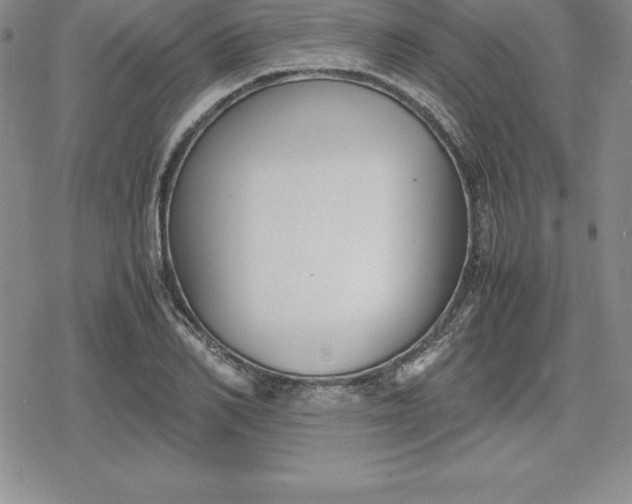 X0000080170982200612221246