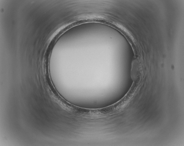 X0000080170983200612221246