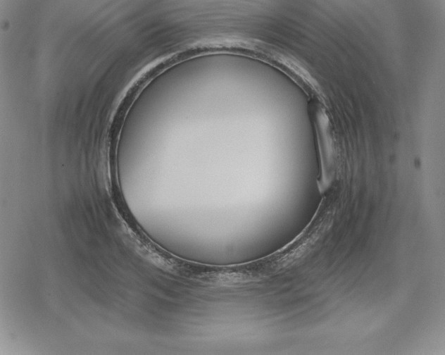 X0000080170984200612221246