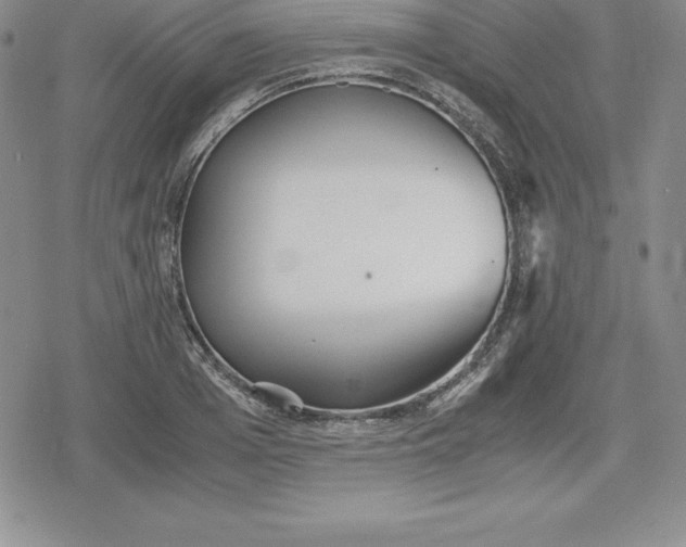 X0000080170985200612221246