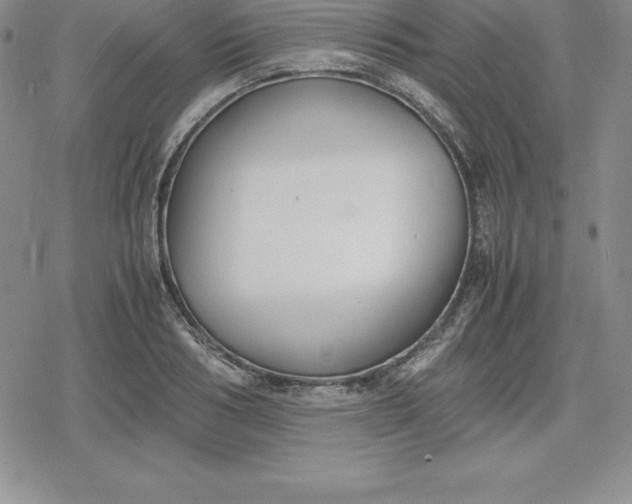 X0000080170986200612221246