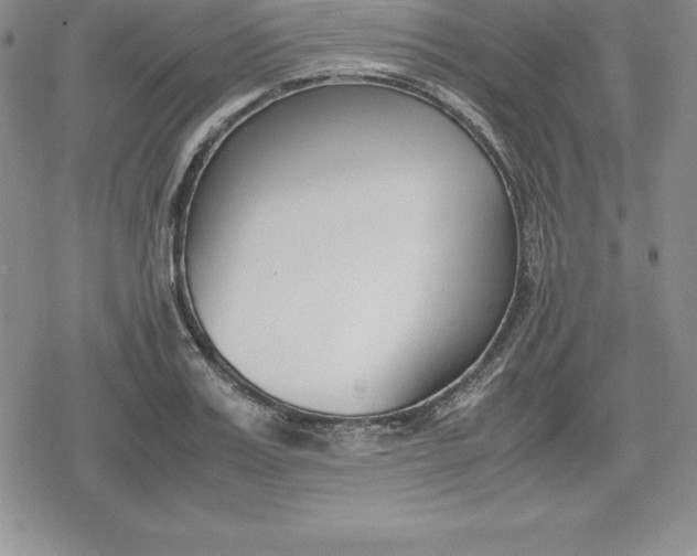 X0000080170987200612221246