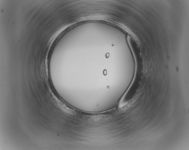 X0000080170988200612221246