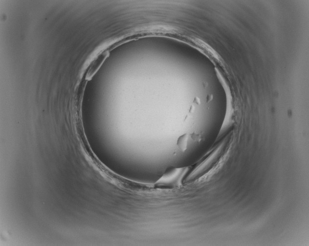 X0000080170989200612221246