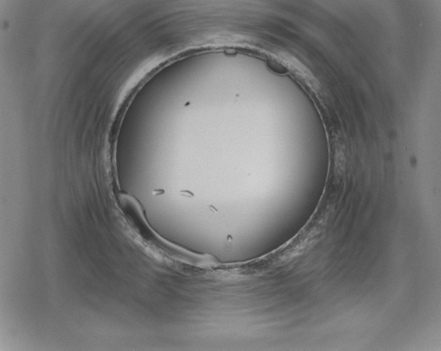 X0000080170990200612221246