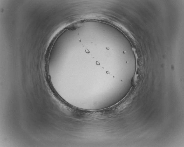 X0000080170991200612221246