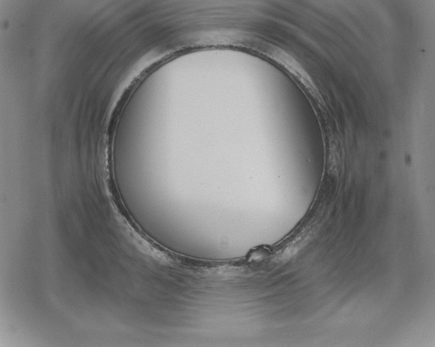 X0000080170992200612221246