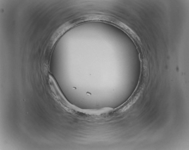 X0000080170993200612221246