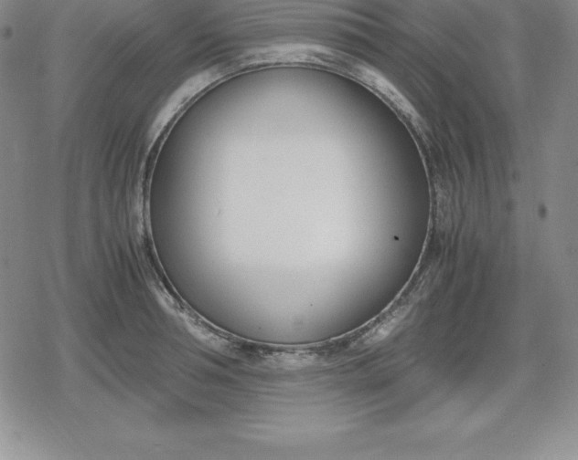 X0000080170994200612221246