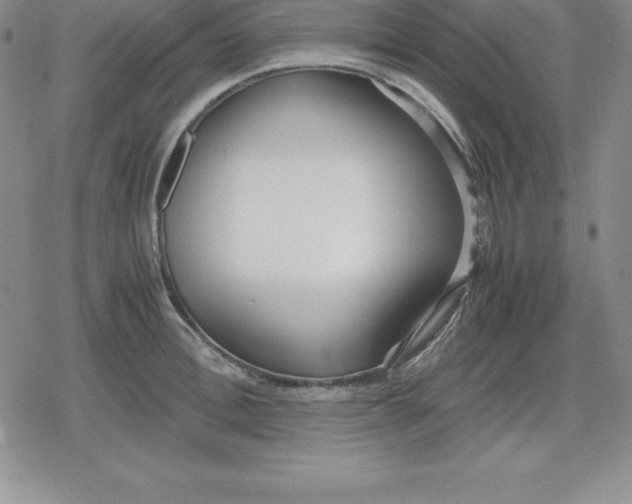 X0000080170996200612221246