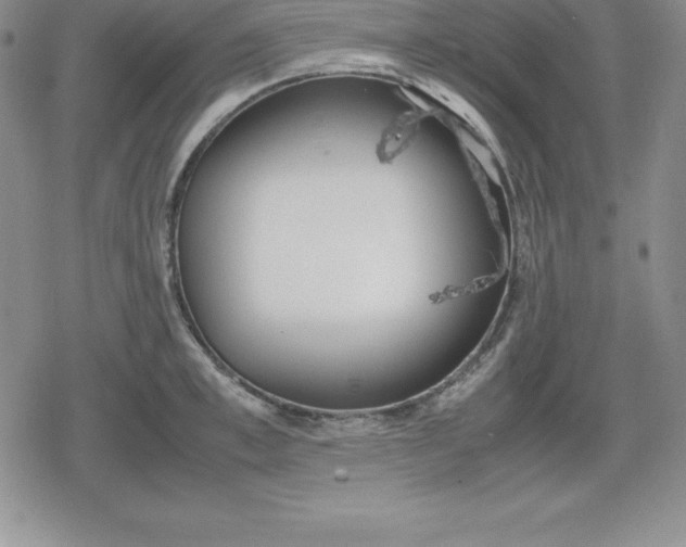 X0000080170997200612221246