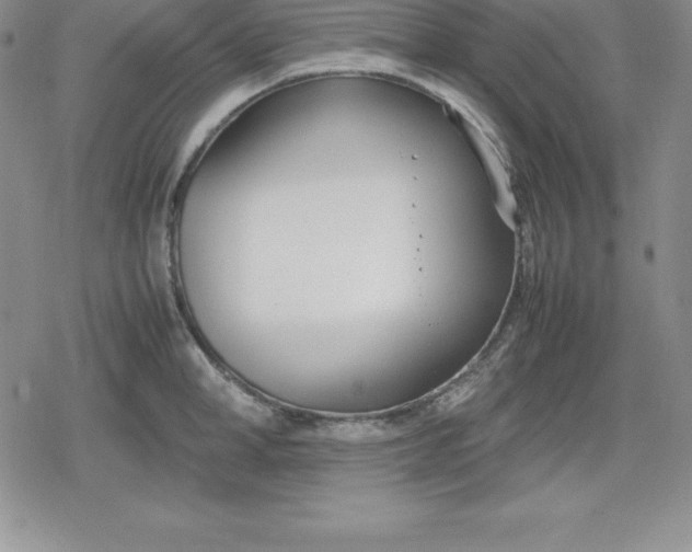 X0000080170998200612221246