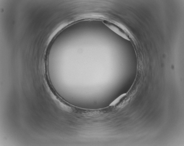 X0000080170999200612221246