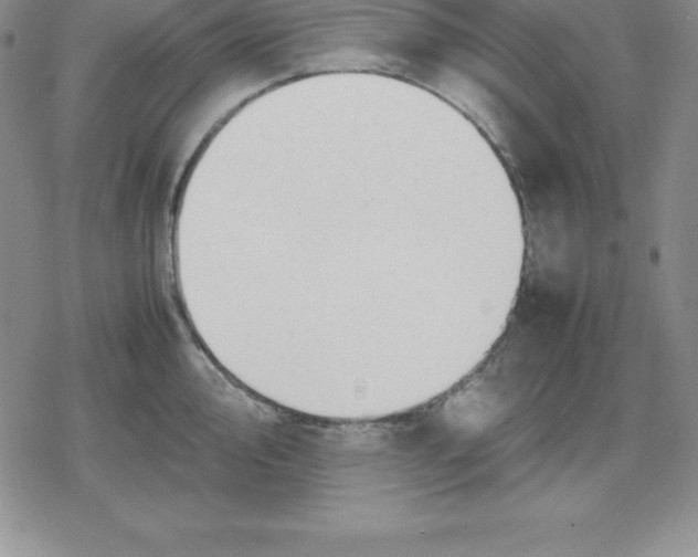 X0000080171000200612221246