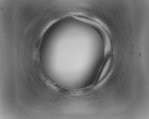 X0000080171001200612221246