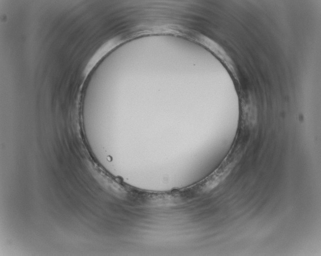 X0000080171002200612221246