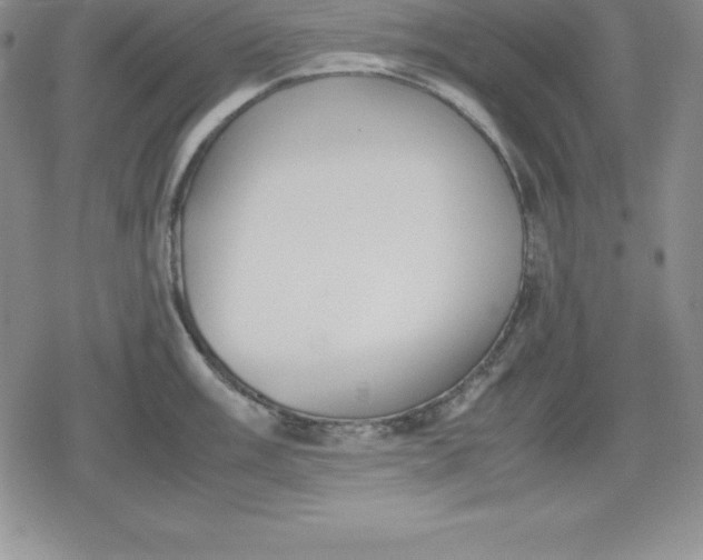 X0000080171003200612221246