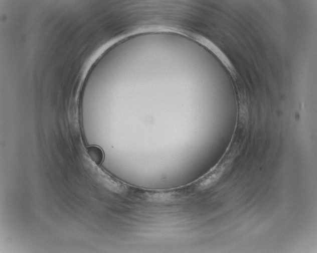 X0000080171004200612221246