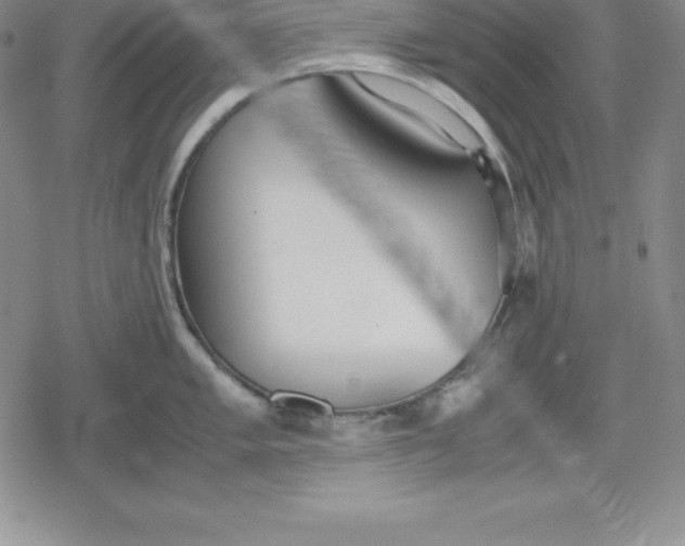 X0000080171005200612221246