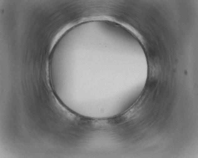 X0000080171006200612221246