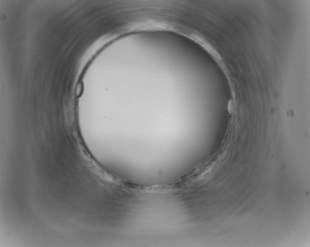 X0000080171008200612221246