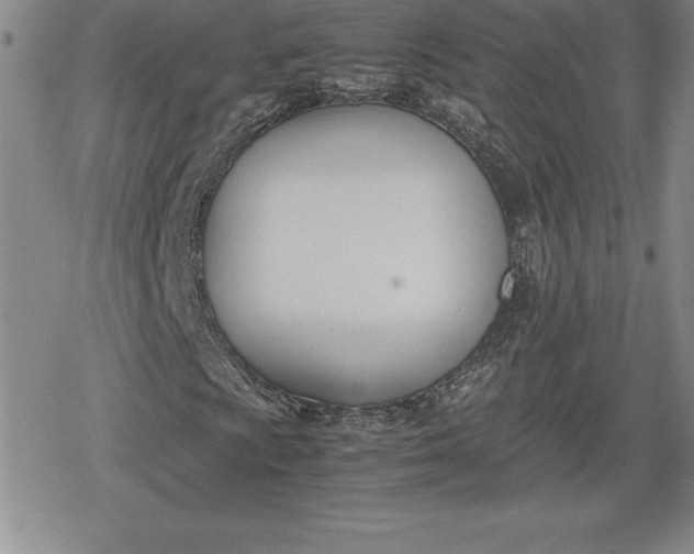 X0000080171009200612221245