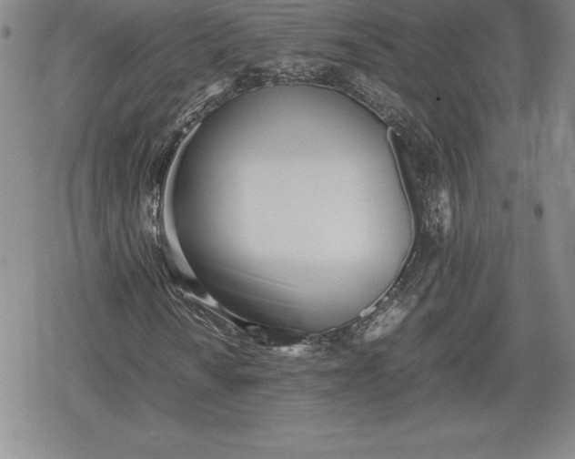 X0000080171010200612221245