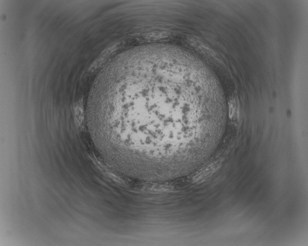 X0000080171011200612221245