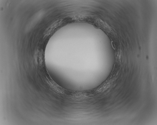 X0000080171012200612221245