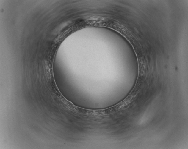 X0000080171013200612221245