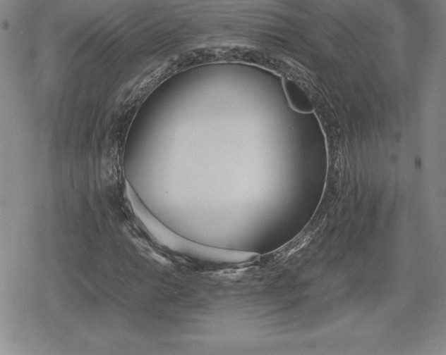 X0000080171014200612221245