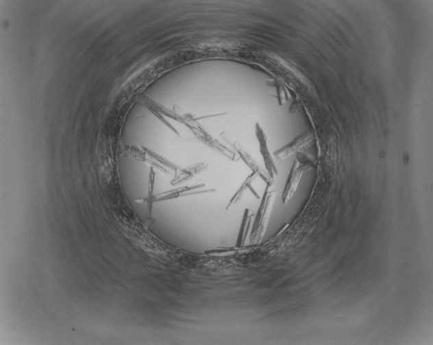 X0000080171015200612221245