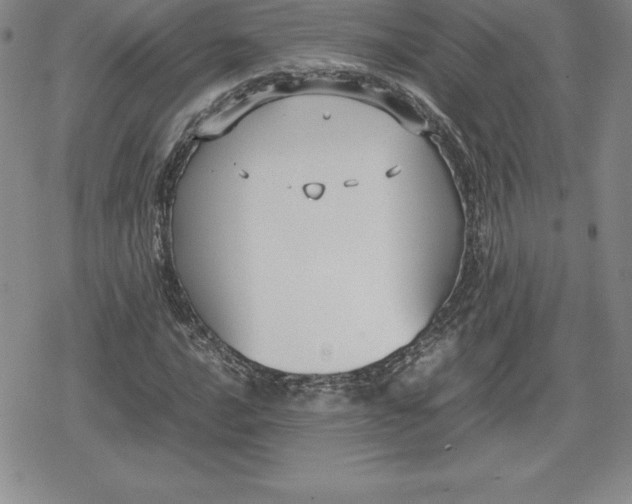 X0000080171016200612221245