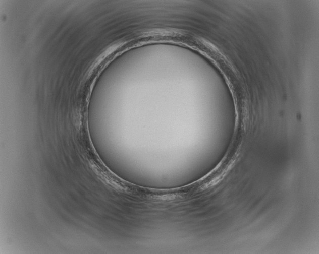 X0000080171017200612221245