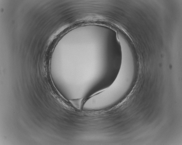 X0000080171018200612221245