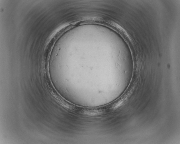 X0000080171019200612221245