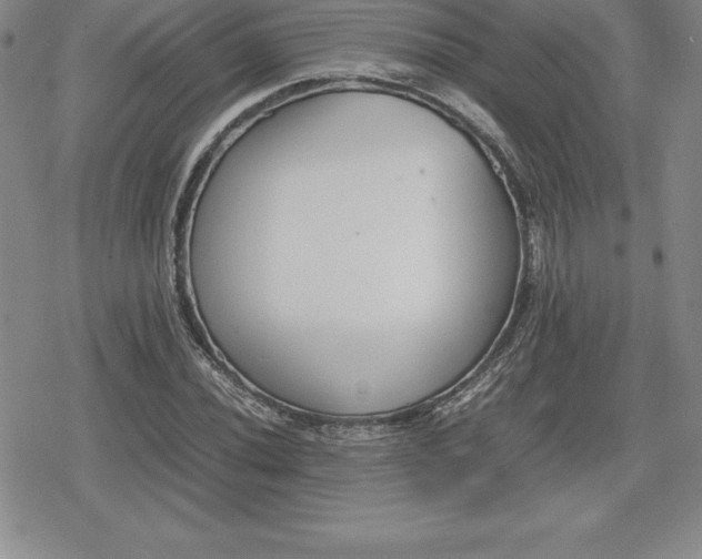 X0000080171020200612221245