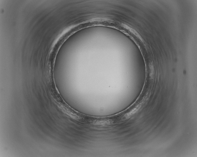 X0000080171021200612221245