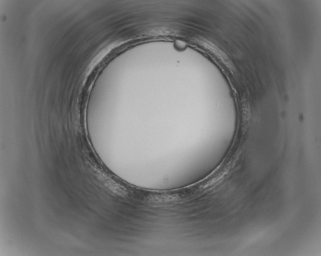 X0000080171023200612221245