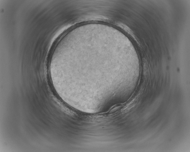 X0000080171024200612221245