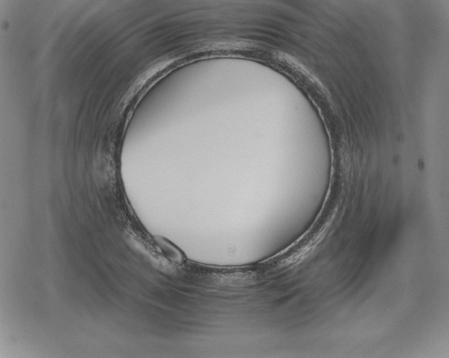 X0000080171025200612221245