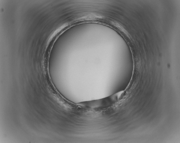 X0000080171026200612221245