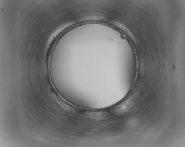 X0000080171027200612221245